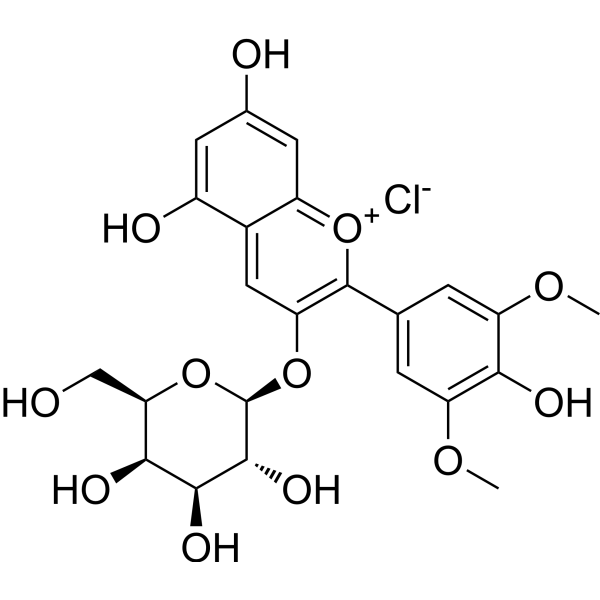 Malvidin-3-galactoside chloride 30113-37-2